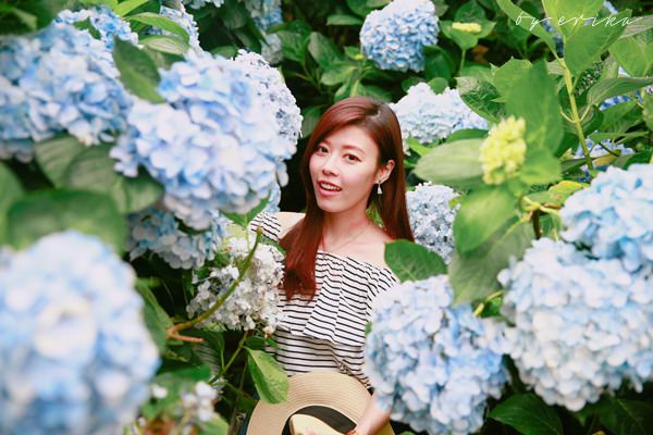 IMG_3595123 IMG_3595123