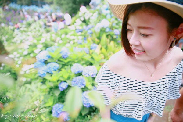 IMG_3593123 IMG_3593123